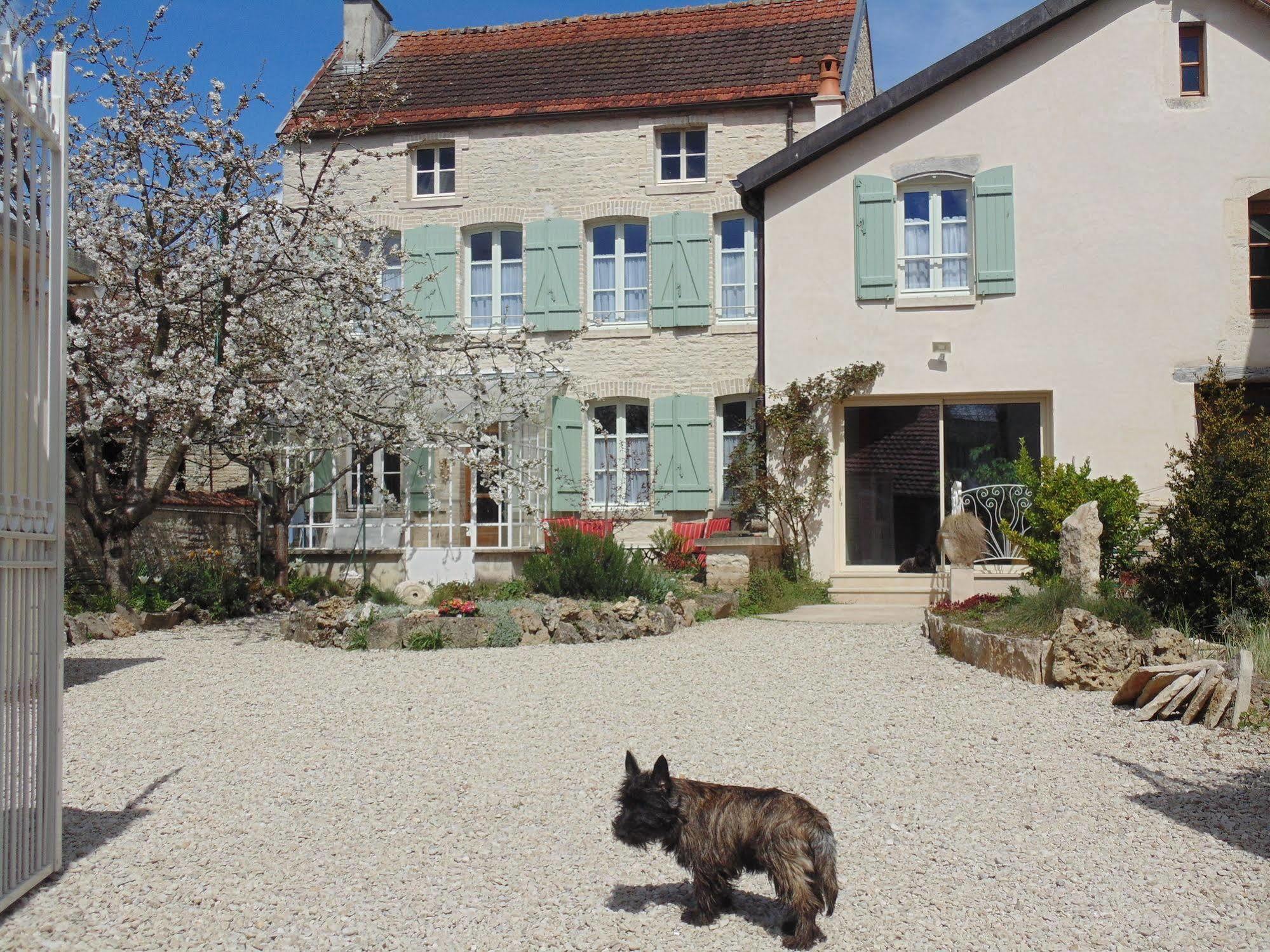 La Promenade En Champagne Bed & Breakfast Mussy-sur-Seine Dış mekan fotoğraf